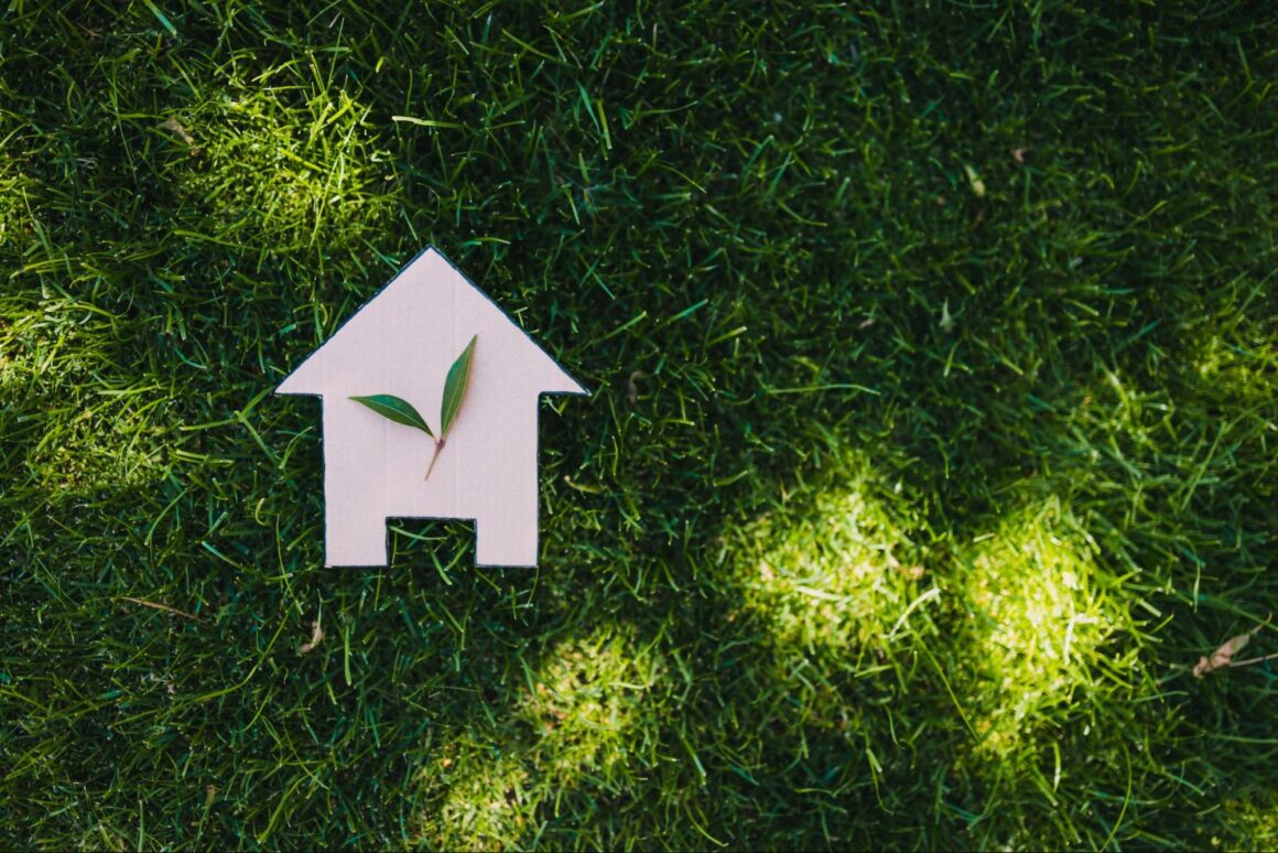 Eco friendly updates that make a big difference at home