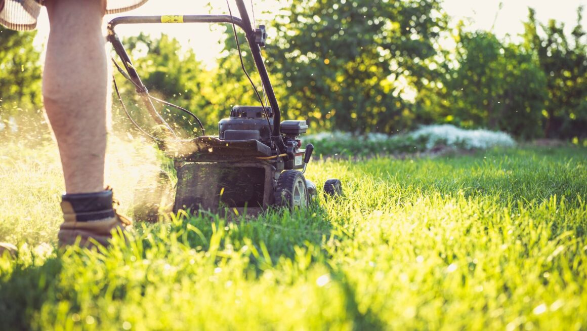 Seasonal lawn care guide maintaining your memphis yard year round