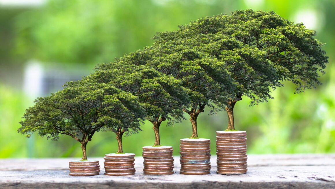 The rise of sustainable investing how esg factors are shaping the future of finance