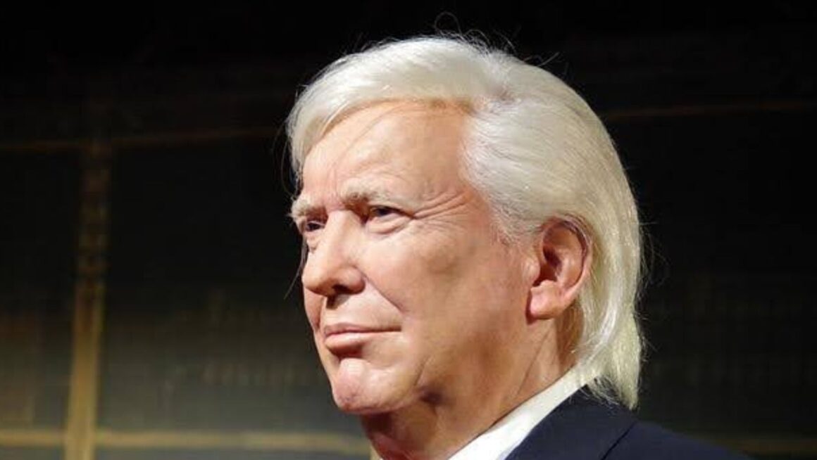 Whatever happened to trump s meme coin
