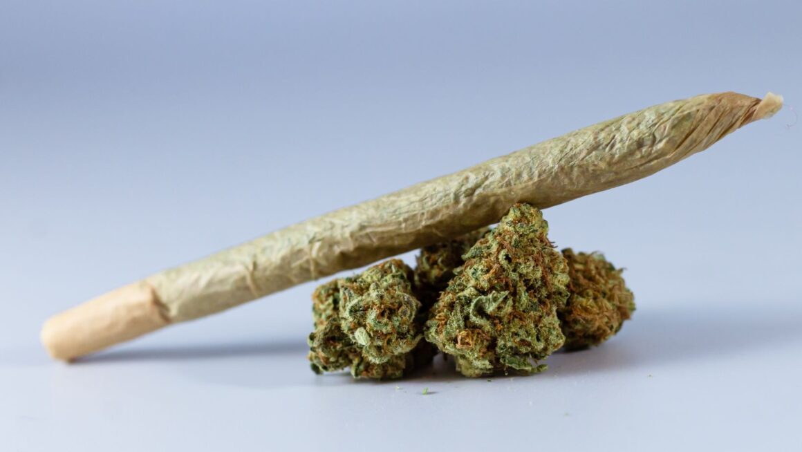 Highest low price thca flower alternatives to khan kush